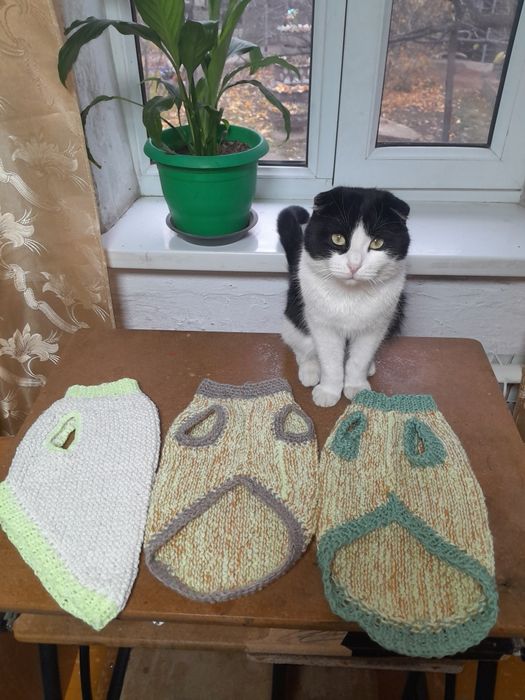 Одежда для собак и кошек