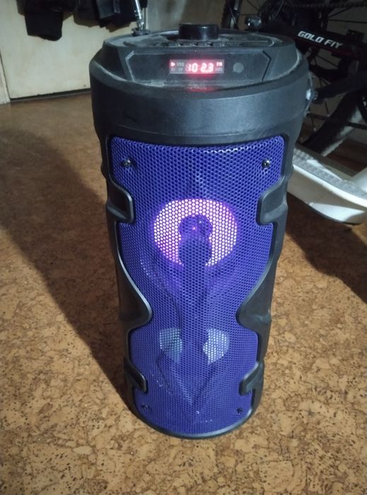 Калонка музыкальная