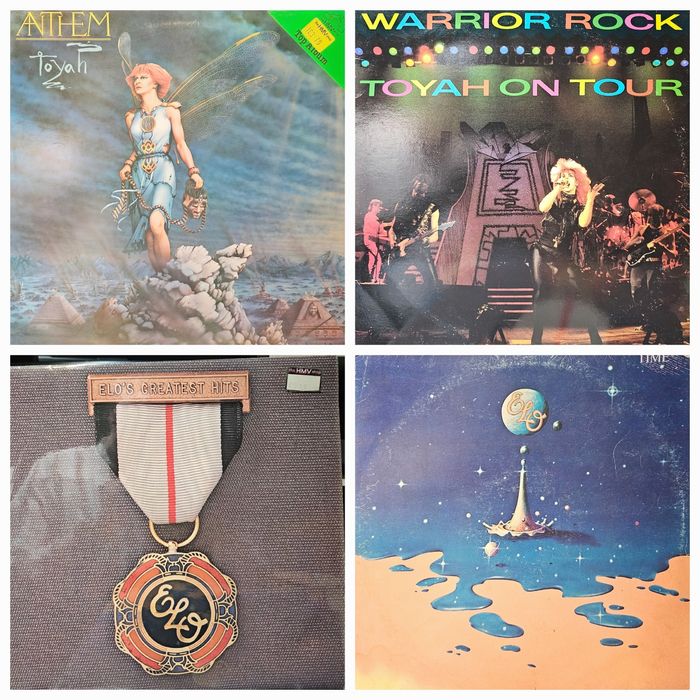 Discuri vinil (vinyl)