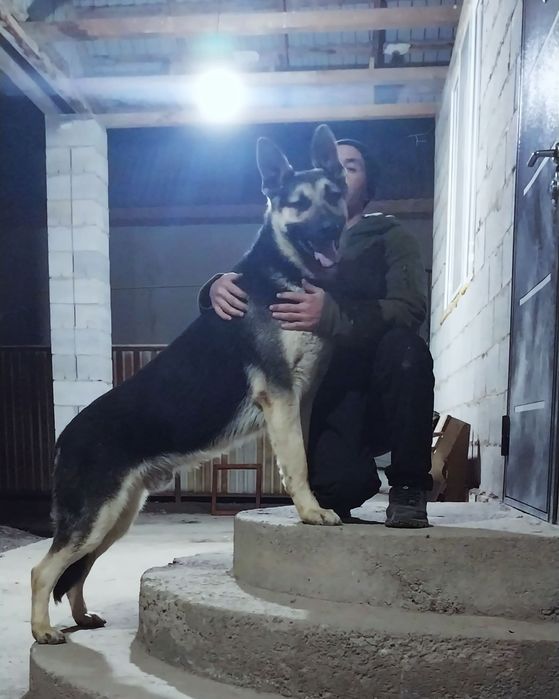 Вязка ВЕО без документов