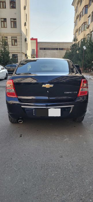 Cobalt darkmoon blue