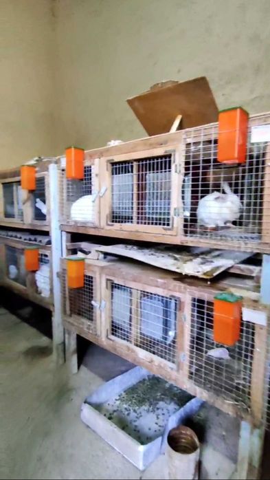 Продаюся клетки для кроликов и стол в прекрасном состоянии
