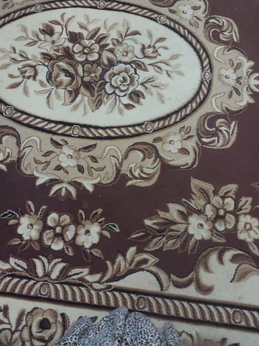 Прадайотса кавор