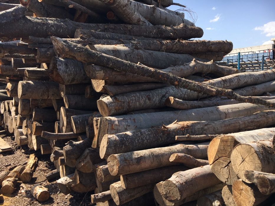 Дърва за огрев от 70€ реален кубик