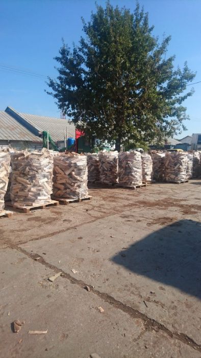 Lemne de foc salcam si fag cu CARD ENERGIE