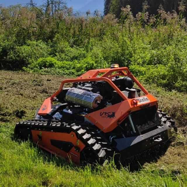 Tund tai Iarba defrisez spini vegetatie deasa utilaj Profesional rezultate rapide