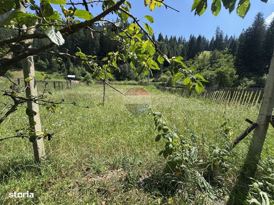 De vanzare | Teren intravilan 1342 mp in Sabasa | Borca | Neamt