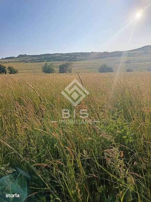 Teren 53 ari în Galații Bistriței -10.000 euro (188/ar)