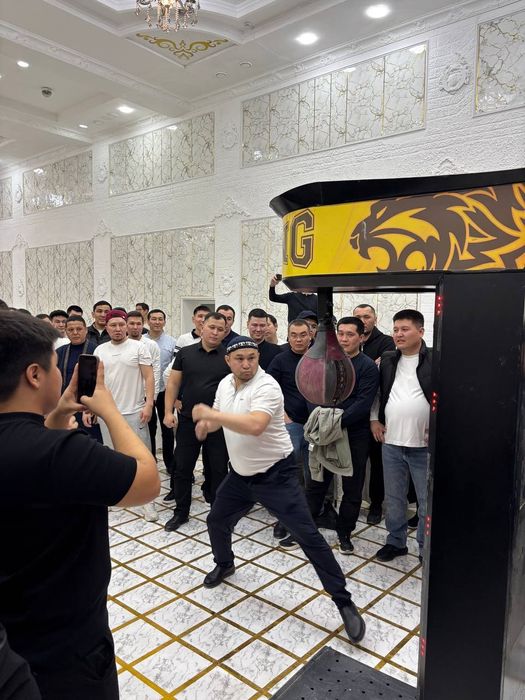 Аренда Силомер атракциона