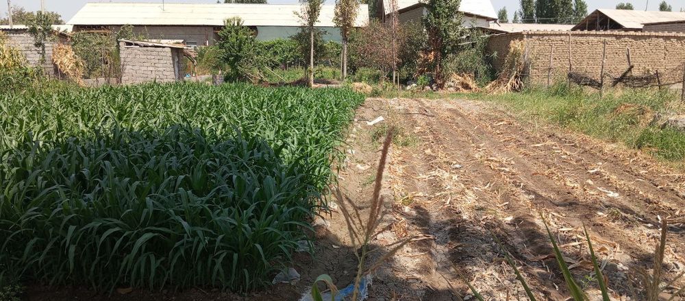 Bank qilb beriladi Tayyor 6 xonali uchastka yer maydoni 7.2 sotix nar