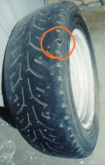 1 dona balon bor Gazelniki