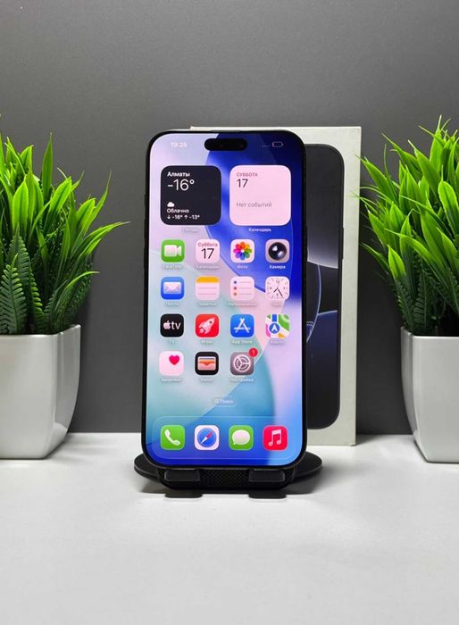 Apple iPhone 16 Pro Max 256 GB, черный