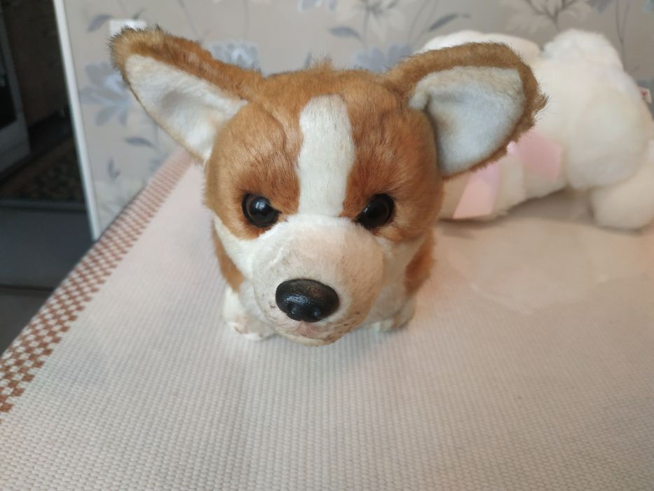 Продаю.мягкую игрушку собачка.маламут