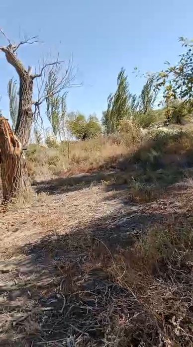 Уй жерімен сатылады