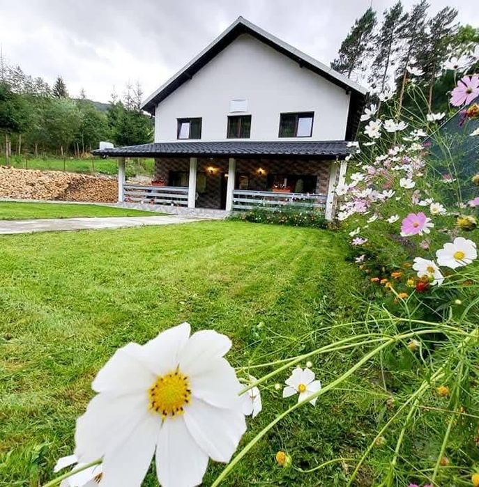 Cazare Rucar Satic Pensiunea Aaron’s Home