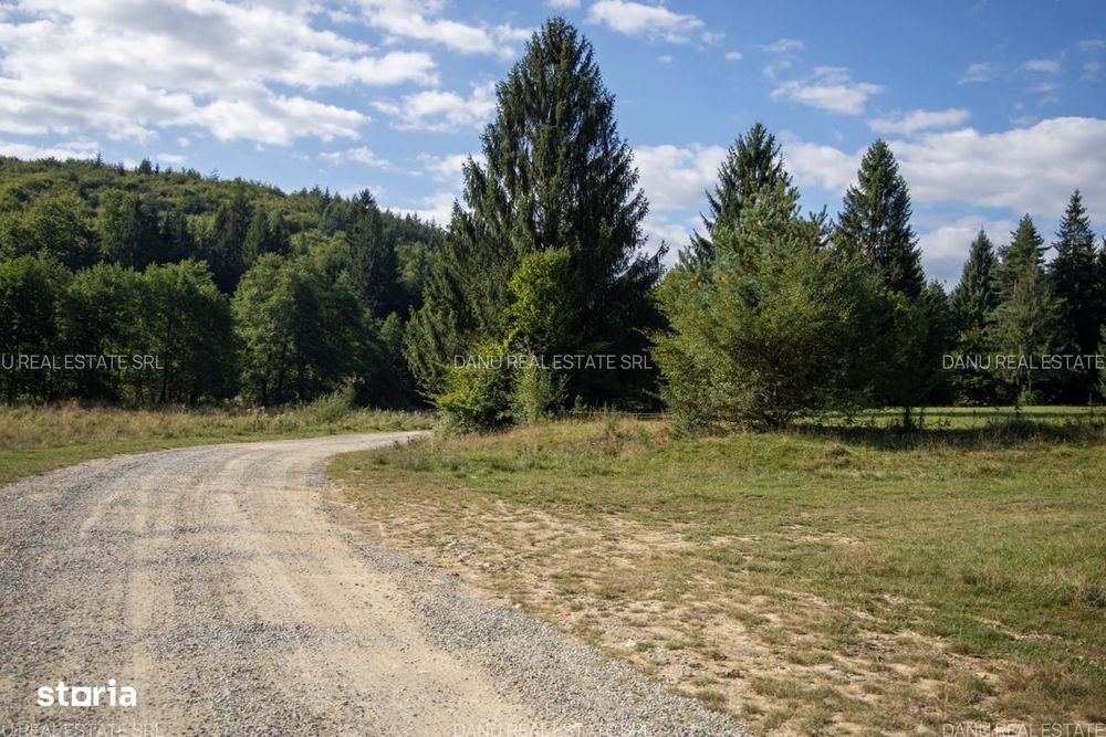 Teren intravilan 3.300 mp cu vedere către lac – Vulcan, zona lacurilor