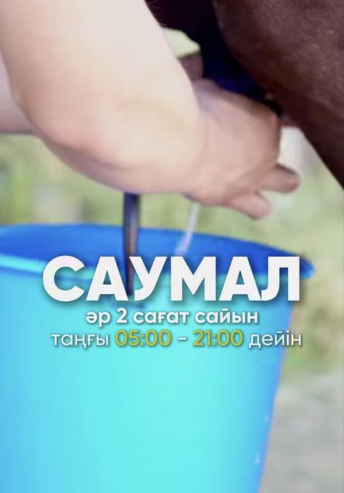 САУМАЛ қымыз ТЕГІН жеткізу
