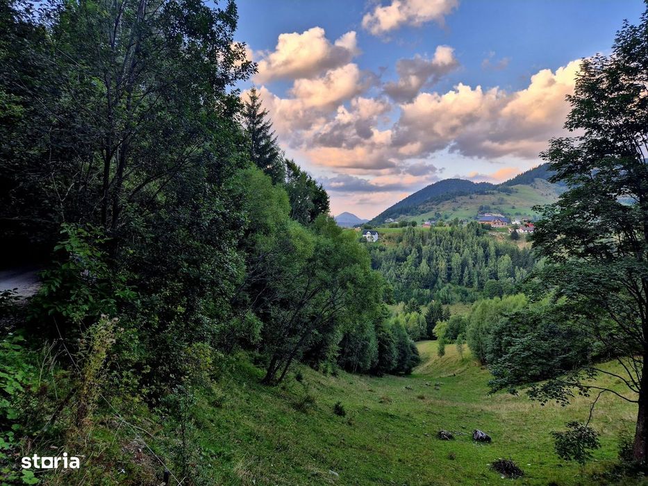Teren investitie 8635 mp extravilan , Pestera Brasov