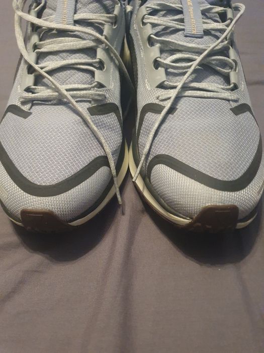 Nike pegasus goretex 43
