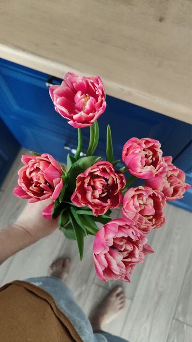 Тюльпаны на 5-6-7-8 марта!