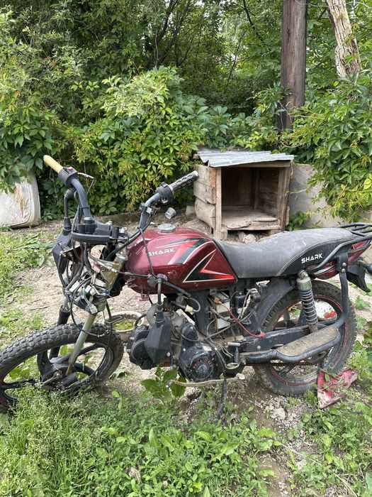 Продам мопед альфа педа 125