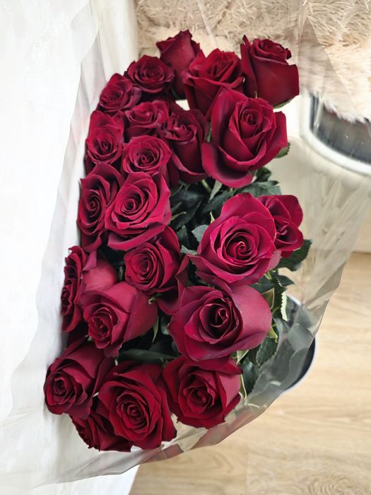 Продам метровые розы