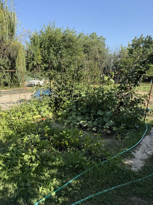 Дача в Талгаре, пос Ават, Кайназар