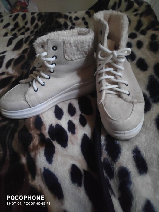 Прадам красовкиновые