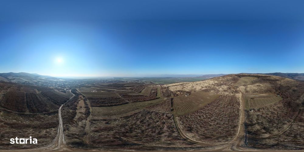 Vita-de-vie Premium  teren de 6800 mp în Covăsinț