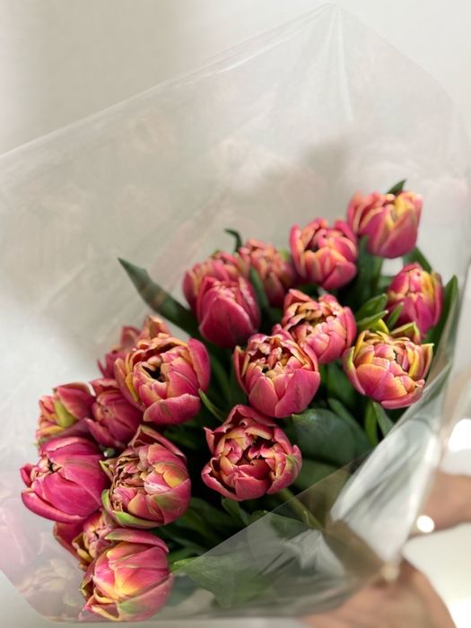 Тюльпаны Астана