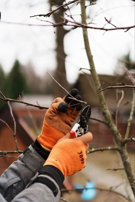 Уборка территорий и помещений