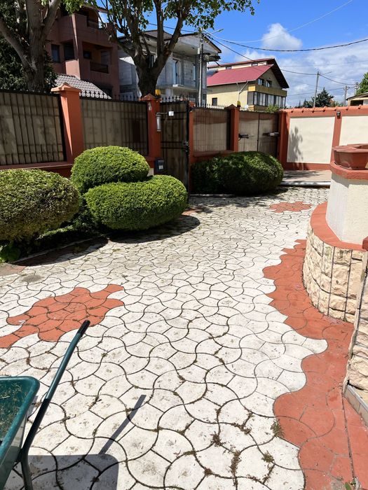 Gazon rulou samanta irigatie gradina pomi