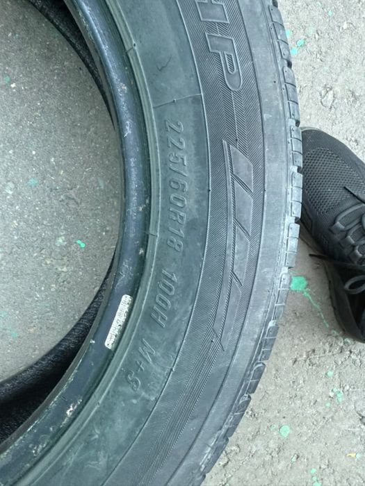 Резина maxxis bravo