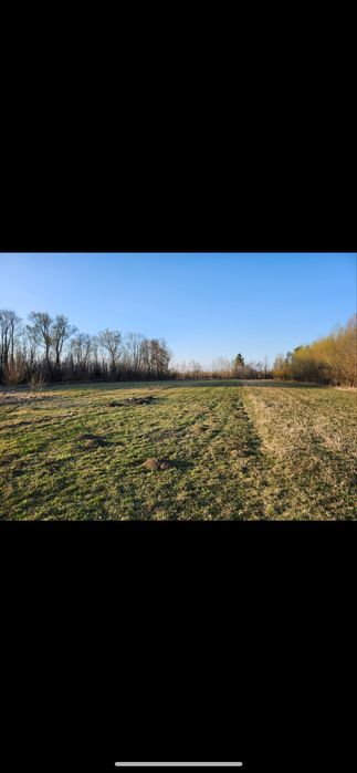 Teren intravilan (Hurjuieni )