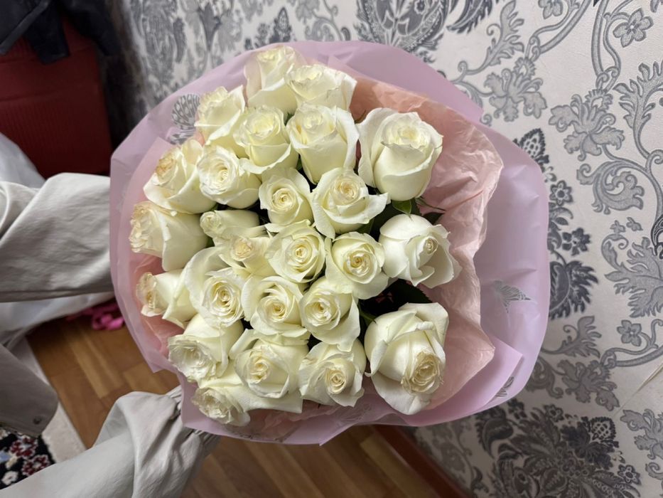 Арзан гулдер свежый