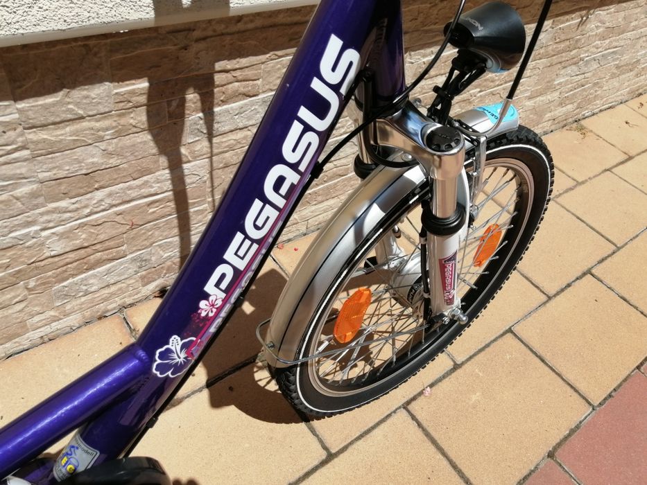 Alu! Pegasus 20 Zoll vnos Germany (ново!)