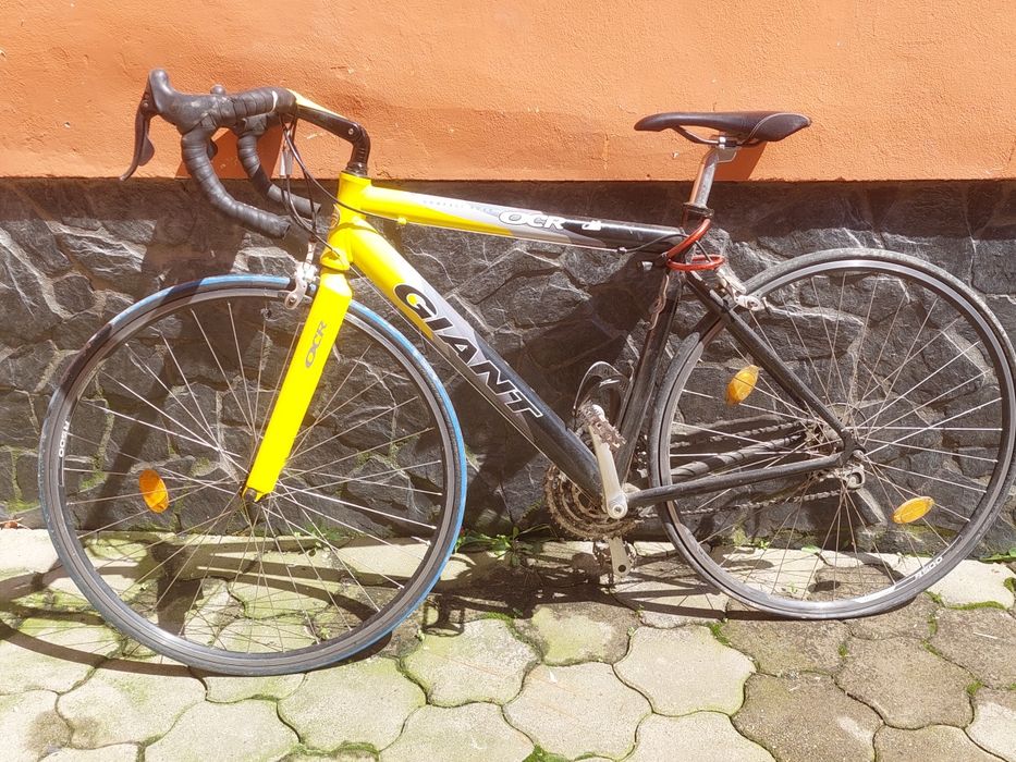 Cursiera giant,campagnolo