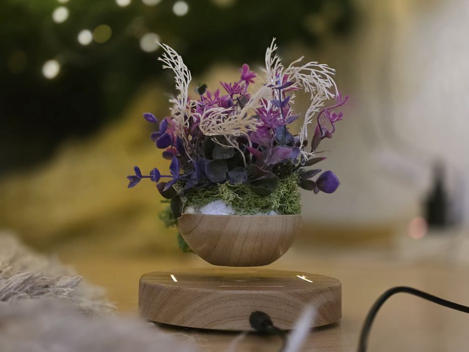Ghiveci aspect lemn cu levitație magnetică - design modern