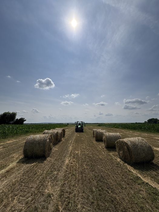 Vand baloți lucerna