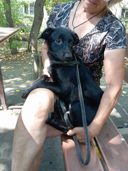 Звоночек Стерильная девочка