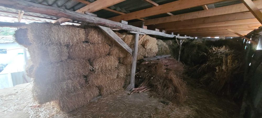 Somon pres sotiladi beda xam bor