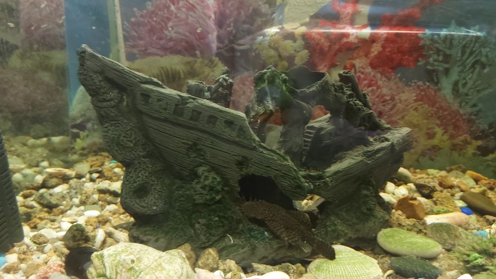 Аквариум с тумбой большой