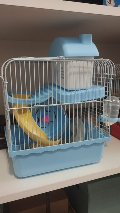 Хомячок джунгарский с клеткой