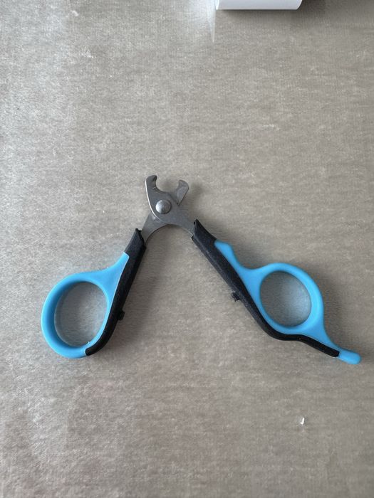 Mushuklar Tirnoq olgich || Кусачку для кошки