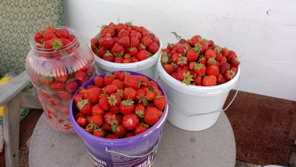 Продам дачу за Коянды