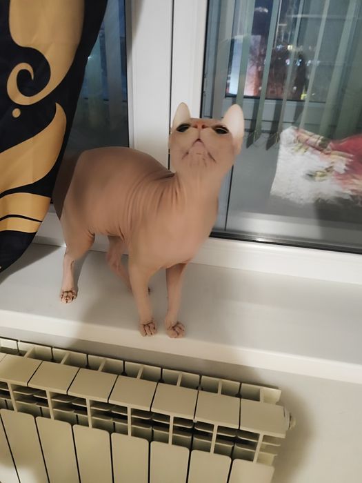 Продаю.          .