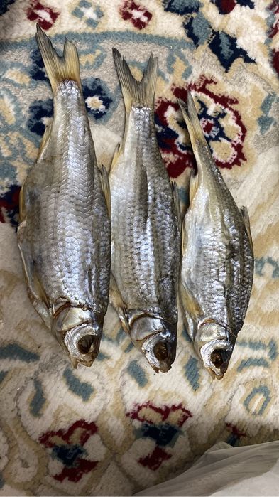 Вяленая вобля свежий