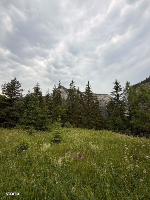 Teren intravilan de vânzare în Lacu Roșu – panoramă spectaculoasă