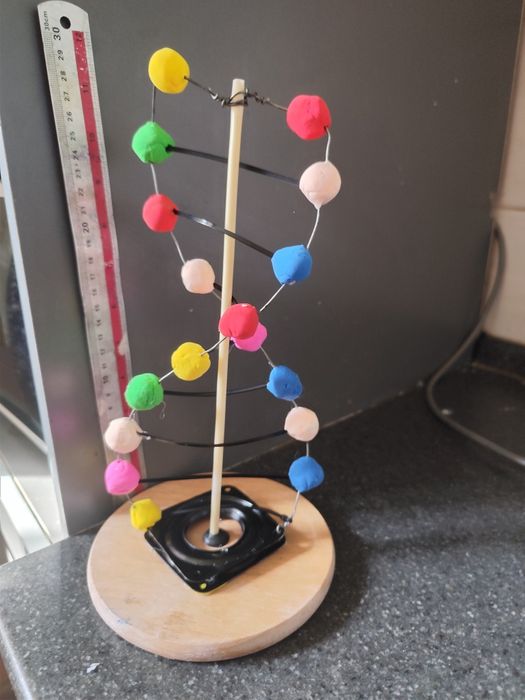 Макет молекулы ДНК