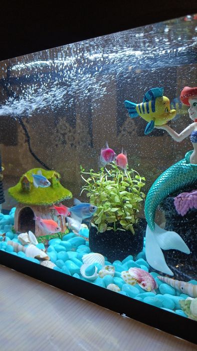 Продаю Аквариум 32,000
